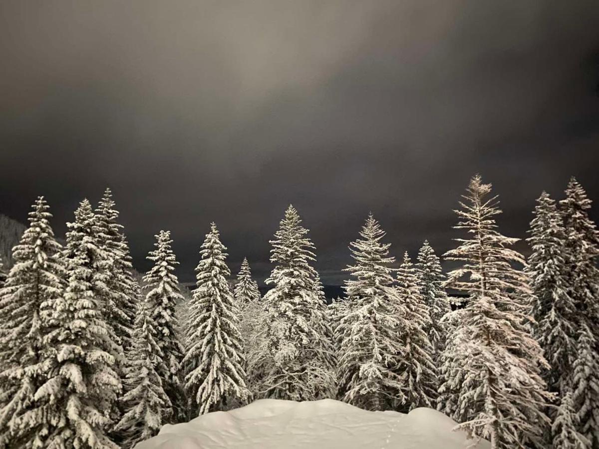 Apartmán Jahorina 7Lux Exteriér fotografie