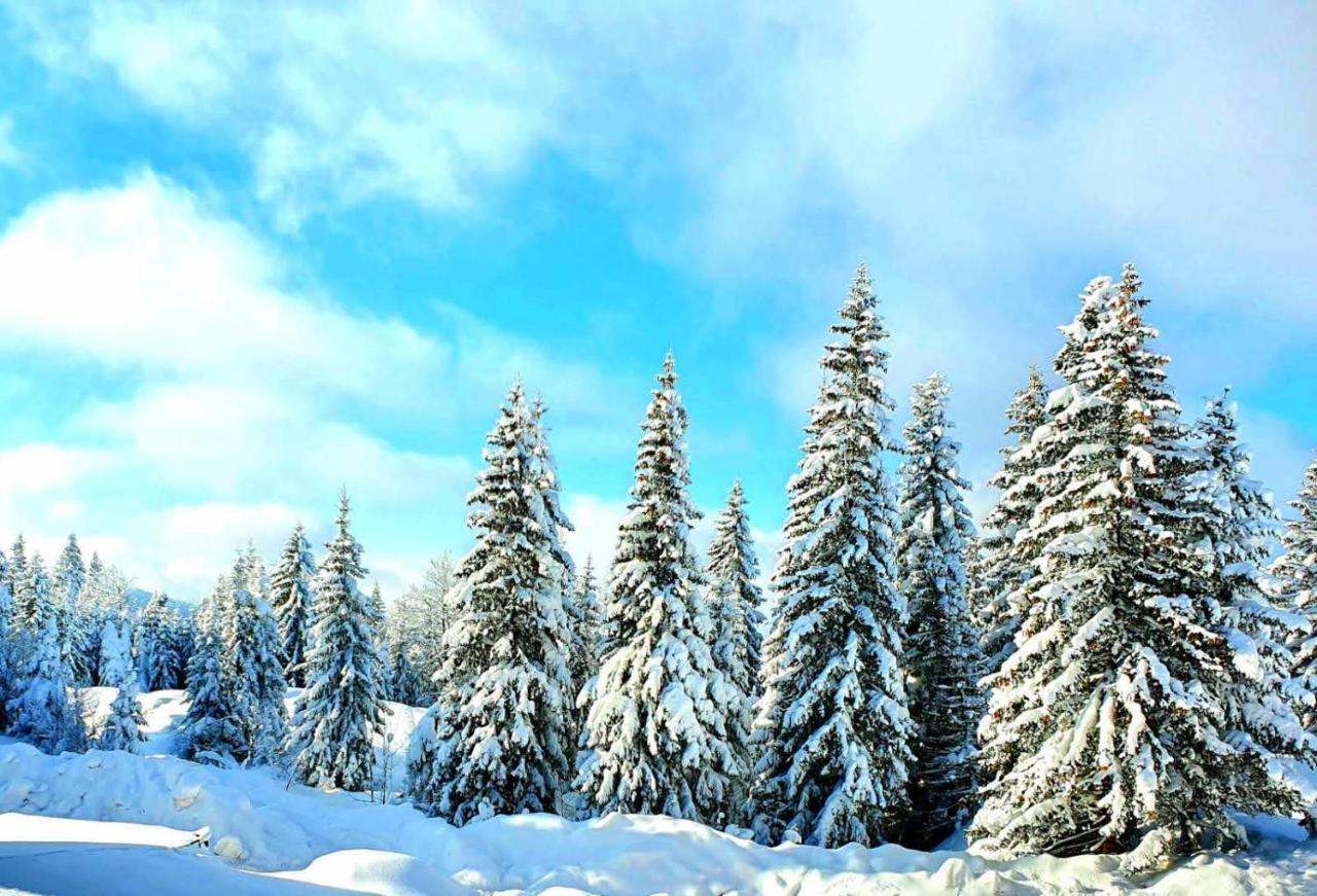 Apartmán Jahorina 7Lux Exteriér fotografie