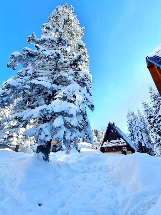 Apartmán Jahorina 7Lux Exteriér fotografie
