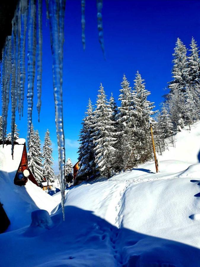 Apartmán Jahorina 7Lux Exteriér fotografie