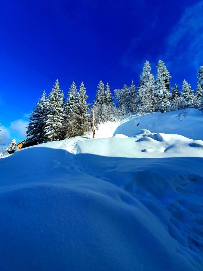 Apartmán Jahorina 7Lux Exteriér fotografie